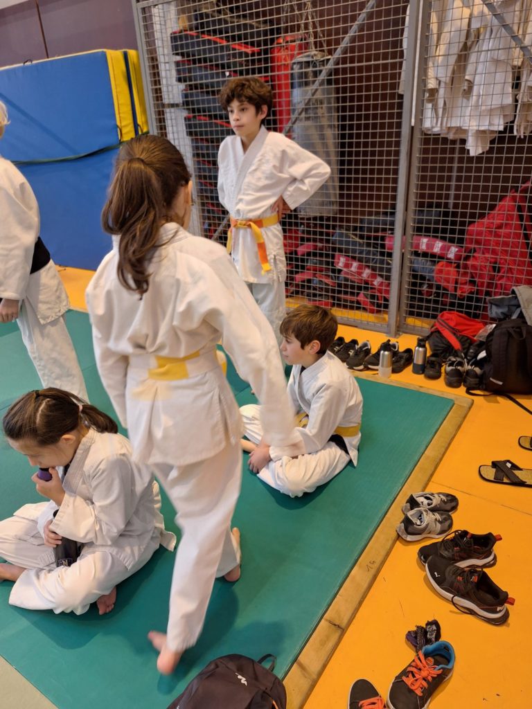 WhatsApp-Image-2026-02-01-at-14.57.22-2-768x1024 Aïkido – Narbonne – 13 Décembre 2025
