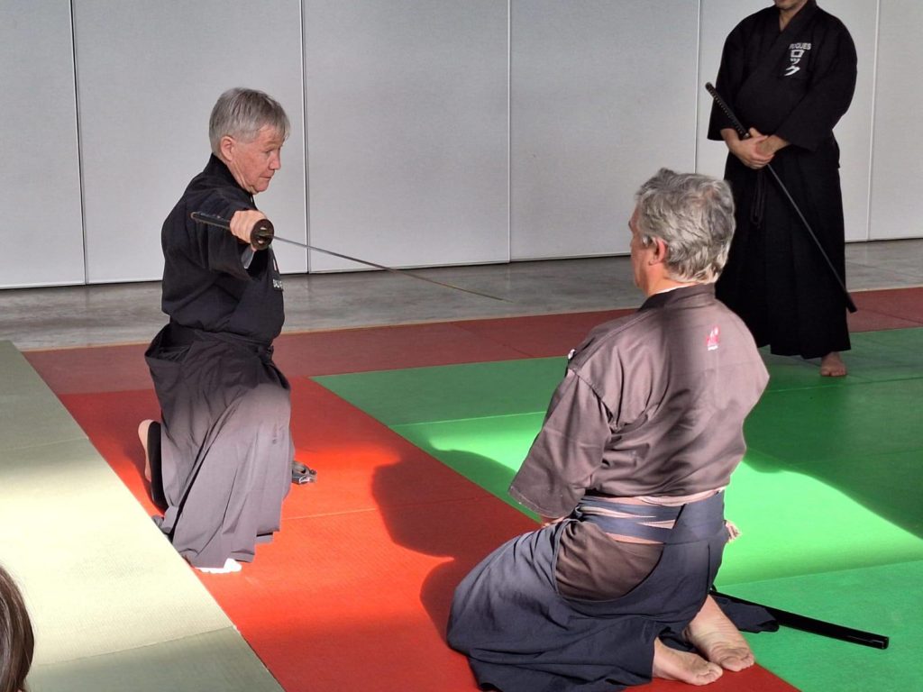 603913588_1171218145133409_7476462052972590243_n-1024x768 IAIDO – Beaucaire – 29/30 Novembre 2025