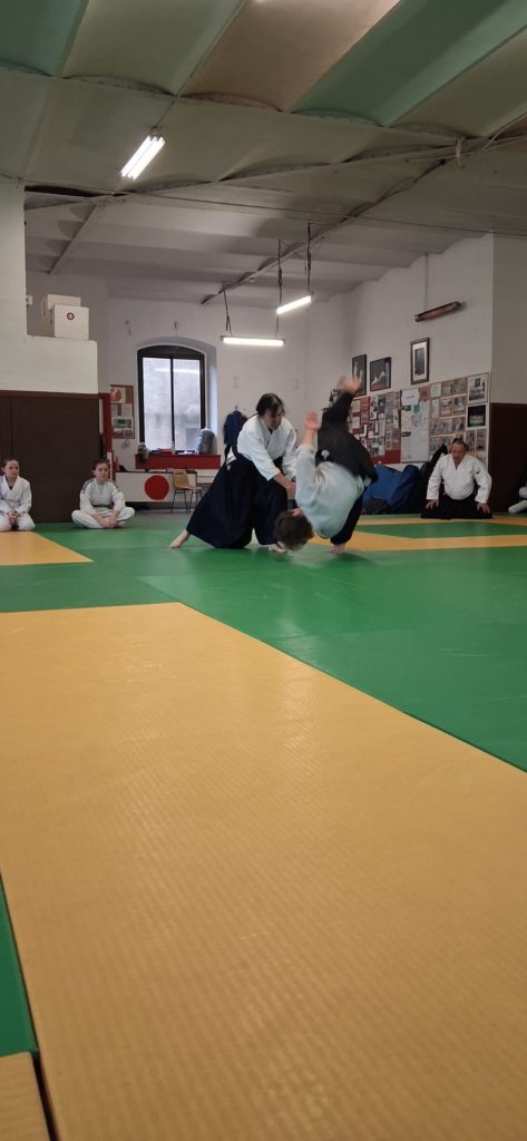 618868336_921297680576873_524931940977162373_n-473x1024 Aïkido-Le Vigan – 24 Janvier 2026