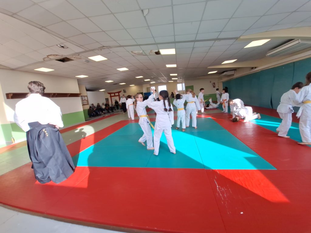 WhatsApp-Image-2026-01-31-at-17.58.27-1024x768 Aïkido – Bezouce – 31 Janvier 2026