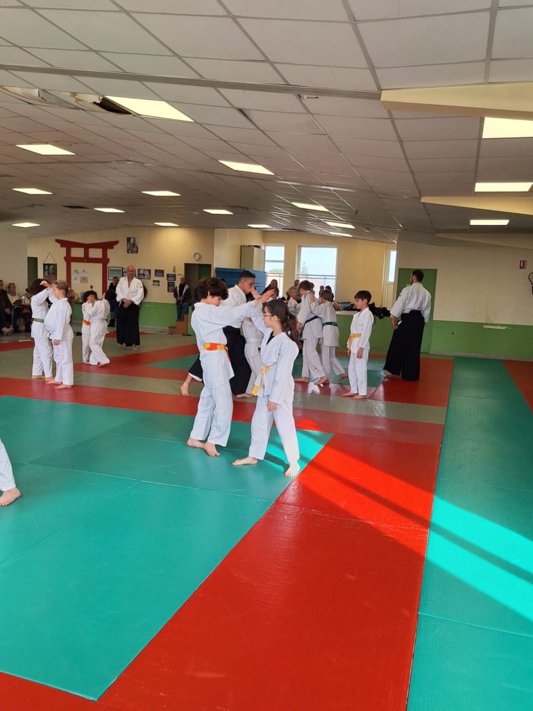 WhatsApp-Image-2026-01-31-at-17.59.31-768x1024 Aïkido – Bezouce – 31 Janvier 2026