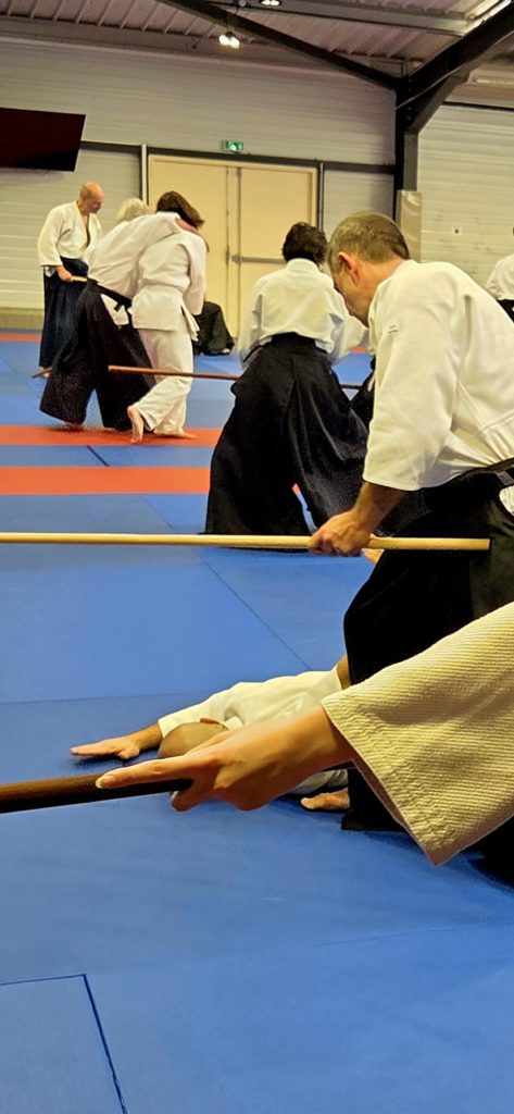 20260329_1237570-473x1024 AÏKIDO – GIGEAN – 29 Mars 2026