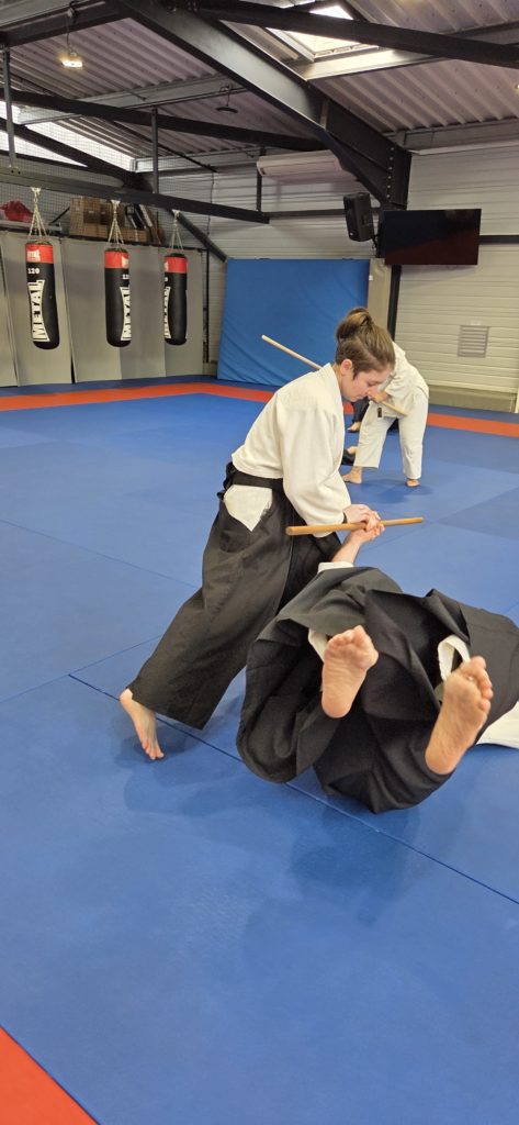 20260329_1239230-473x1024 AÏKIDO – GIGEAN – 29 Mars 2026