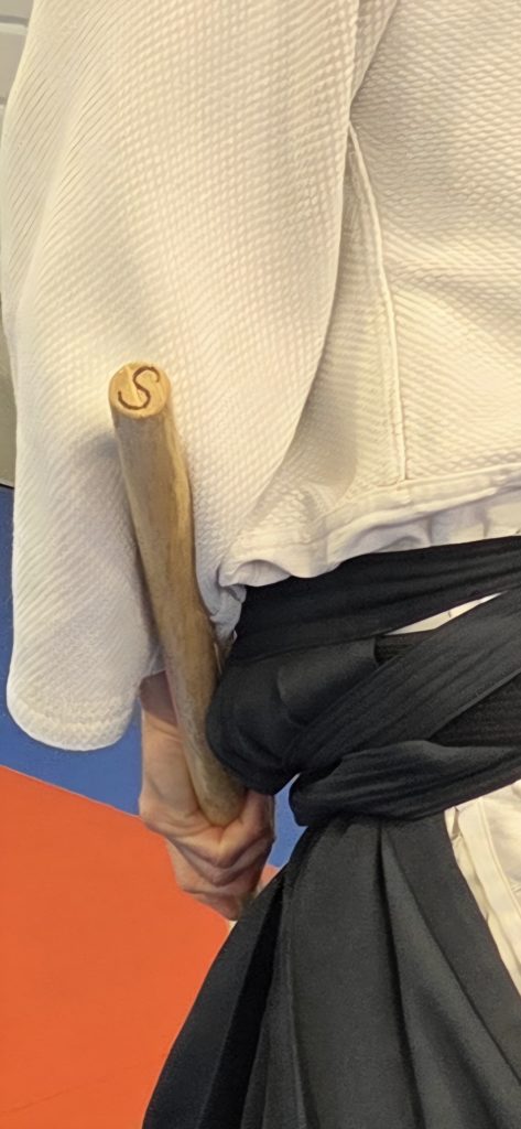 20260329_124013-473x1024 AÏKIDO – GIGEAN – 29 Mars 2026