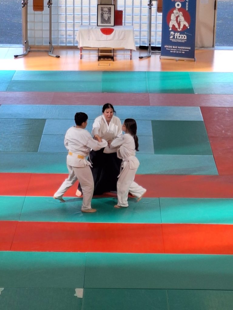 CEPP5222-768x1024 AÏKIDO – Narbonne – 4 Mars 2026