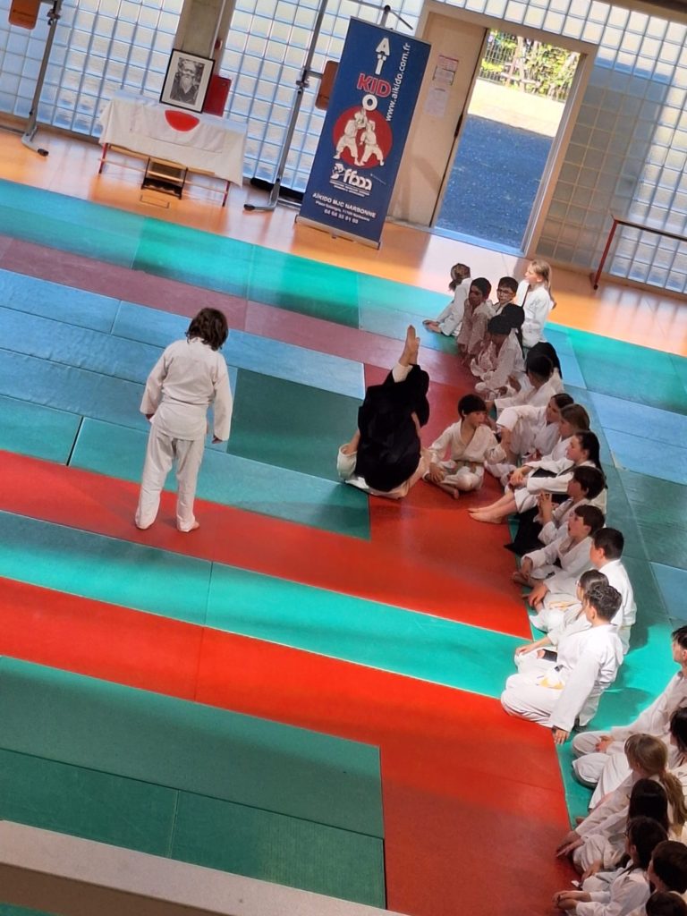 HOYD3284-768x1024 AÏKIDO – Narbonne – 4 Mars 2026