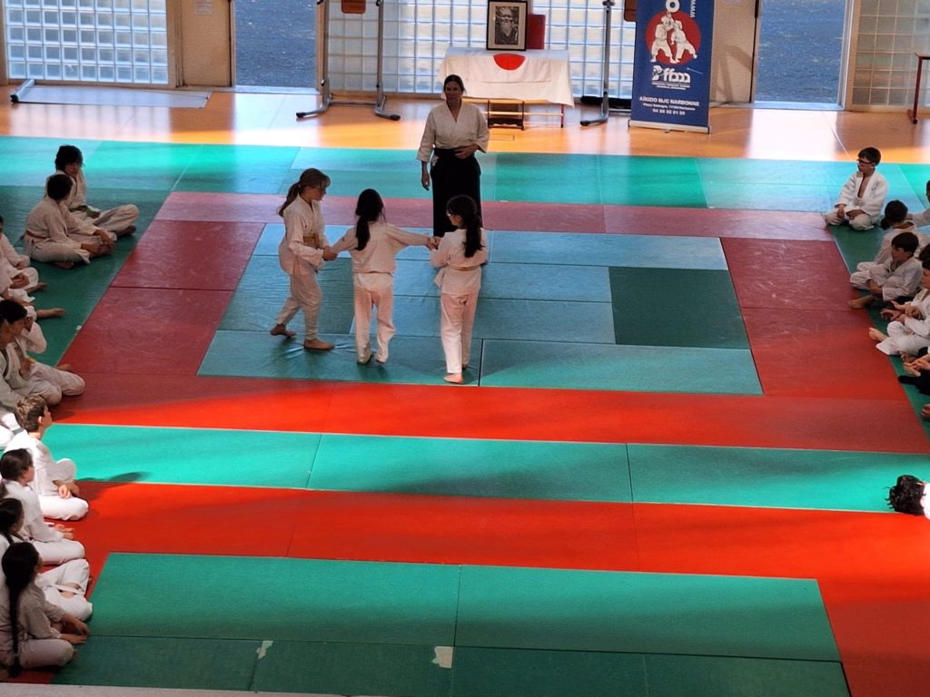 IIVV3754-1024x768 AÏKIDO – Narbonne – 4 Mars 2026