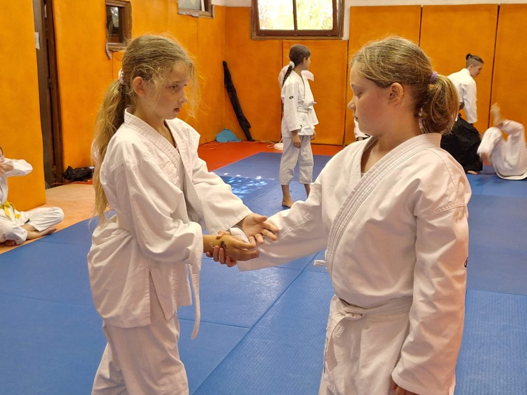 AMFN3838-1024x768 Aïkido – Passage de grade enfants