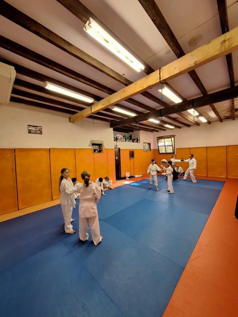 AXII5095-768x1024 Aïkido – Passage de grade enfants