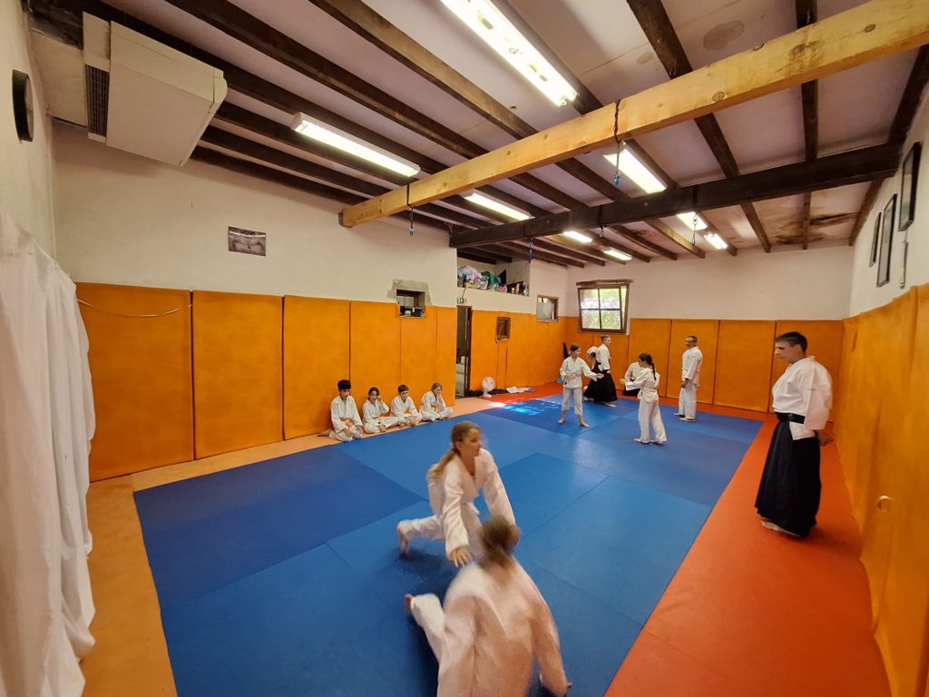 BHMD9586-1024x768 Aïkido – Passage de grade enfants