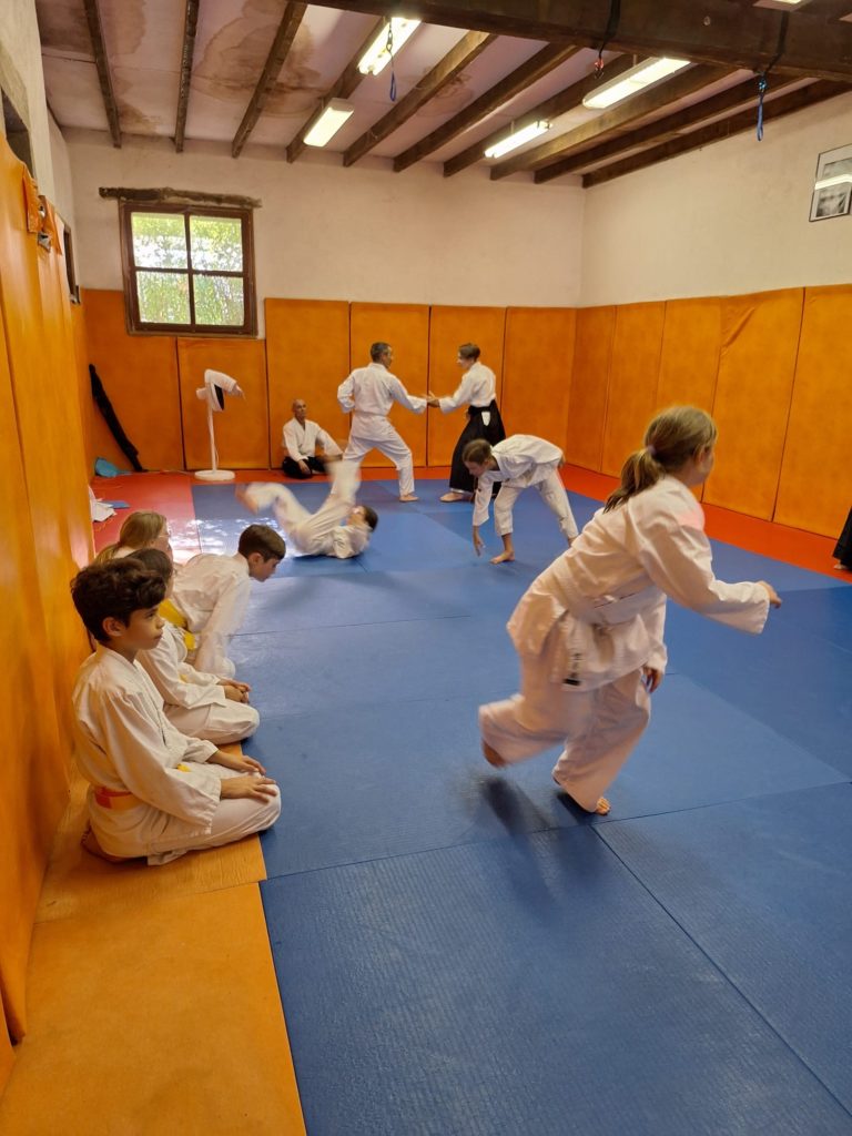 BJHF2367-768x1024 Aïkido – Passage de grade enfants