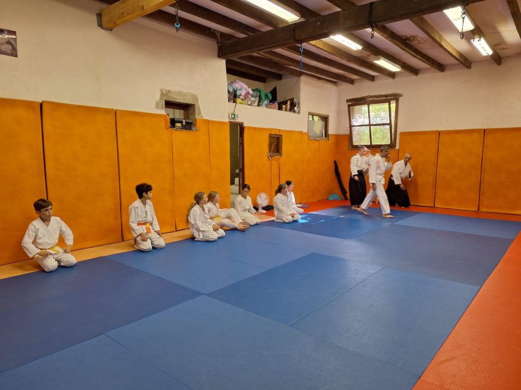 BRBL0082-1024x768 Aïkido – Passage de grade enfants