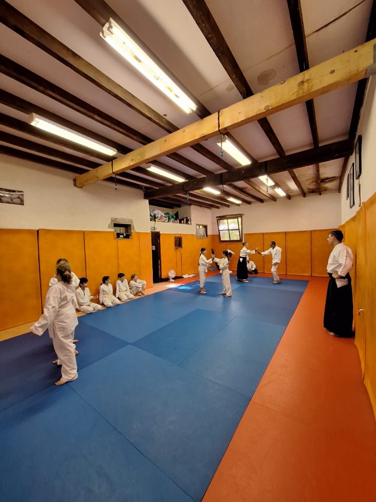 CAJS6070-768x1024 Aïkido – Passage de grade enfants