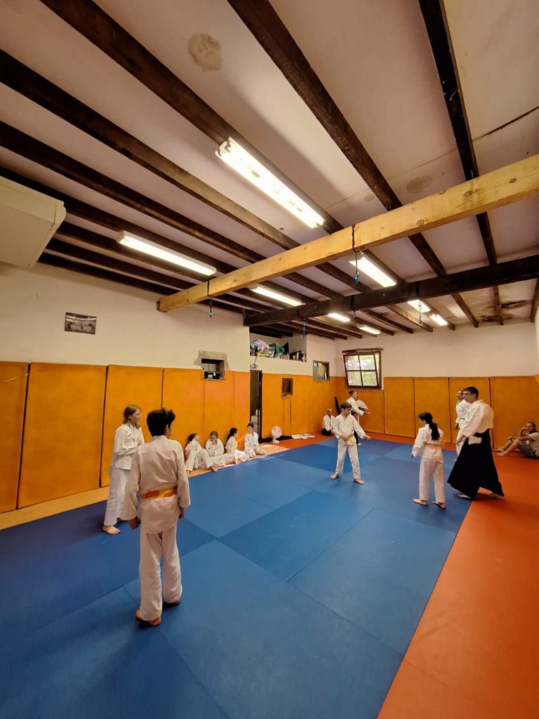 CFMP5617-768x1024 Aïkido – Passage de grade enfants