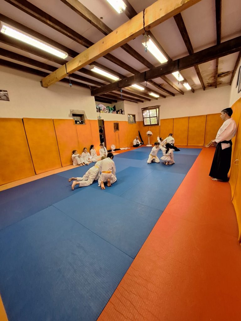 ECFU9879-768x1024 Aïkido – Passage de grade enfants
