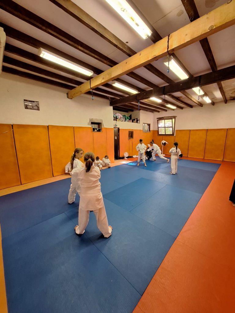 ETXS8883-768x1024 Aïkido – Passage de grade enfants