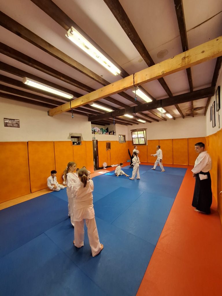 HNGV6002-768x1024 Aïkido – Passage de grade enfants