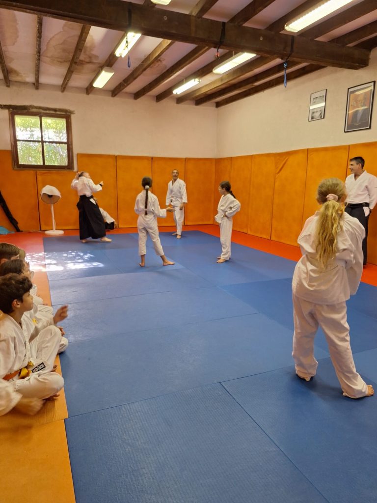 HUQR7068-768x1024 Aïkido – Passage de grade enfants