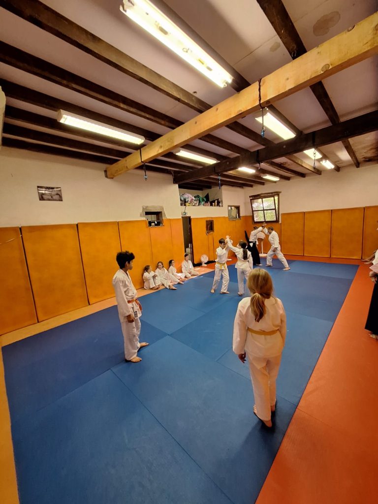 IEAB7489-768x1024 Aïkido – Passage de grade enfants