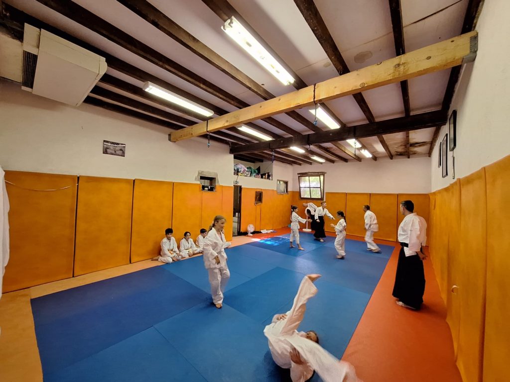 IIWG9412-1024x768 Aïkido – Passage de grade enfants