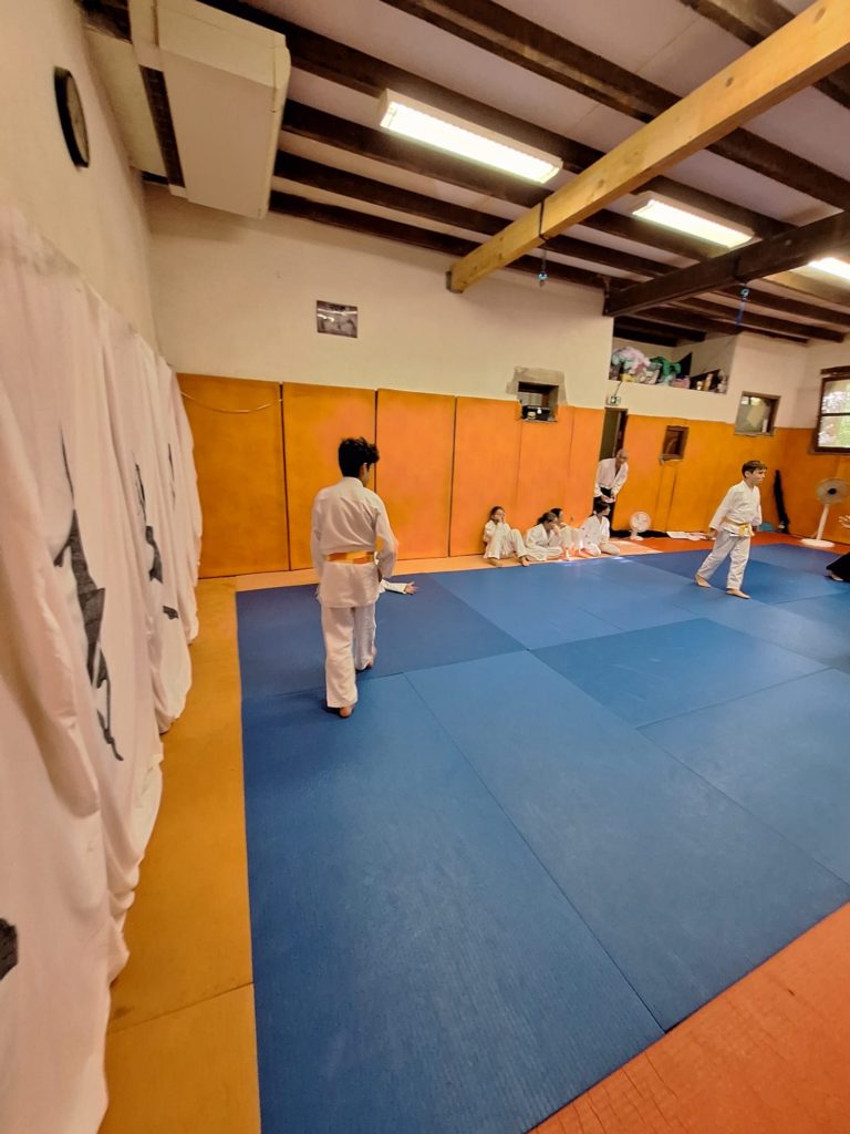 IXQJ7946-768x1024 Aïkido – Passage de grade enfants