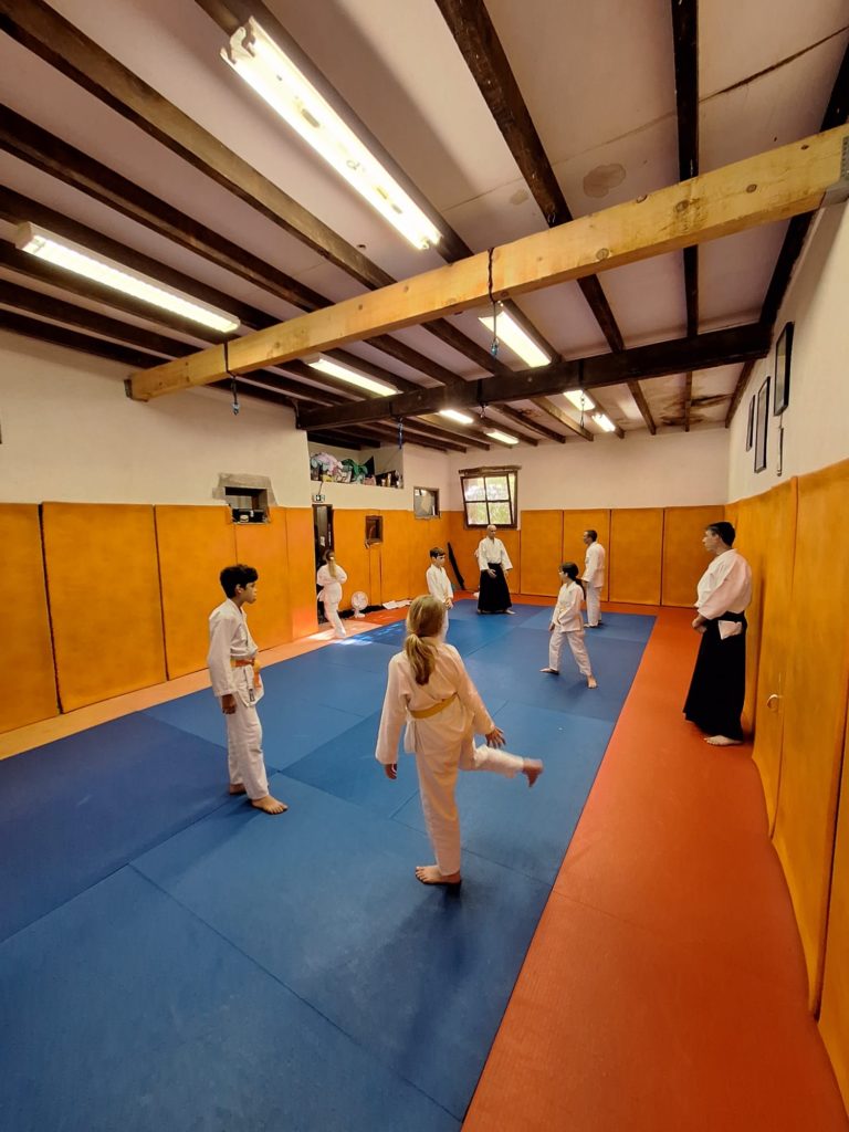 KSKN8603-768x1024 Aïkido – Passage de grade enfants
