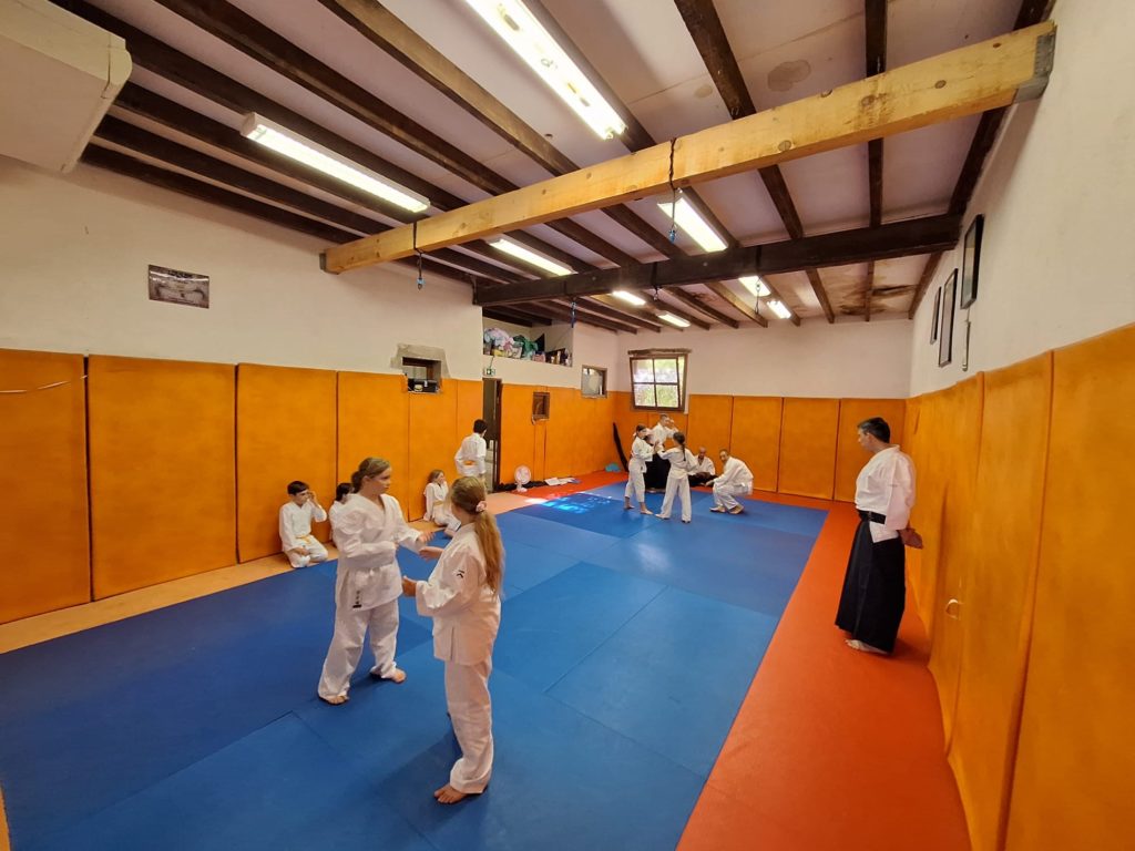 LUIA6719-1024x768 Aïkido – Passage de grade enfants