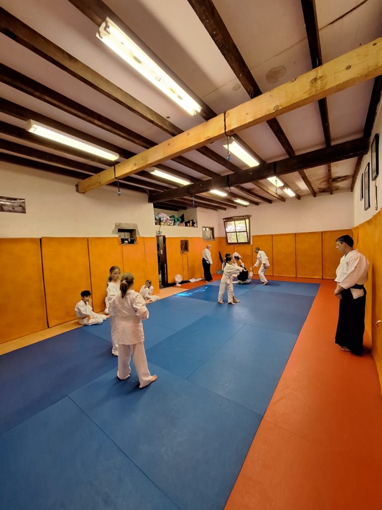 MLYU0749-768x1024 Aïkido – Passage de grade enfants