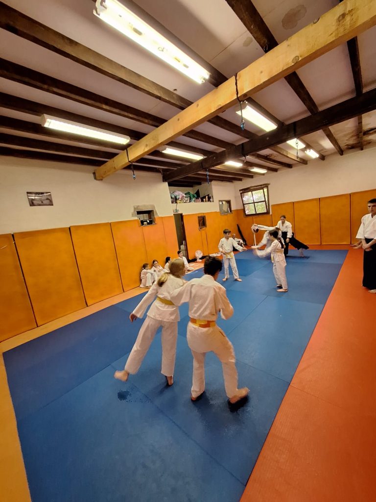 MNLA9385-768x1024 Aïkido – Passage de grade enfants
