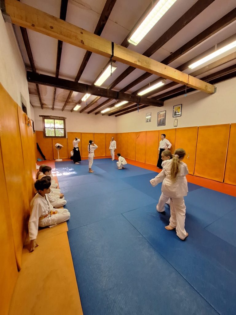 NCQA9959-768x1024 Aïkido – Passage de grade enfants