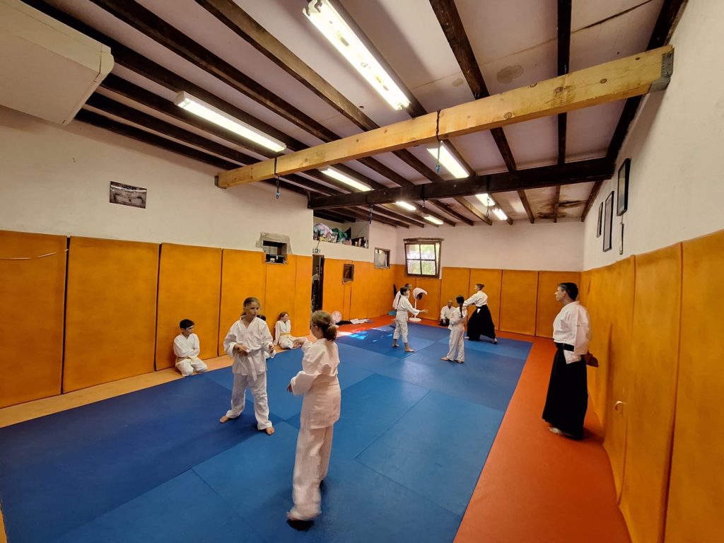 NGAM7687-1024x768 Aïkido – Passage de grade enfants