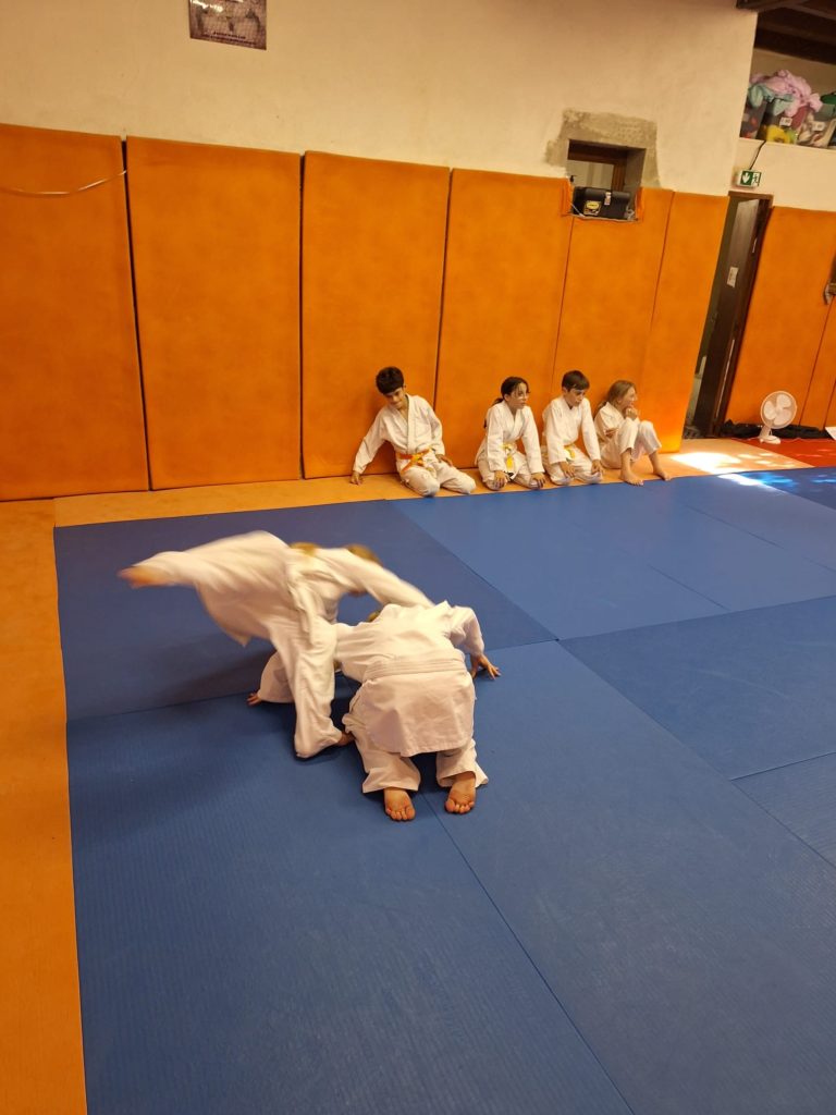 NHGQ3087-768x1024 Aïkido – Passage de grade enfants