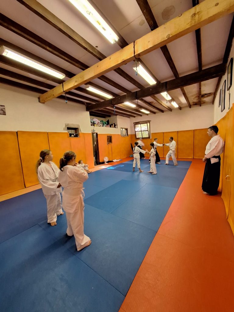 OEIG2343-768x1024 Aïkido – Passage de grade enfants