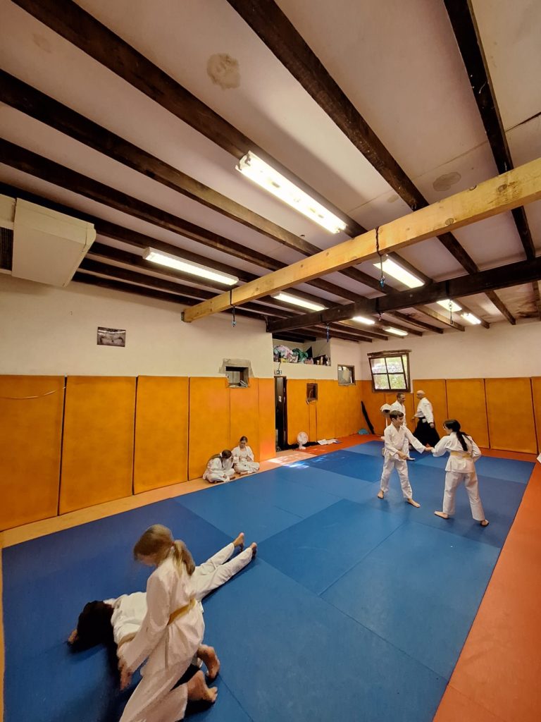 OZVU7735-768x1024 Aïkido – Passage de grade enfants