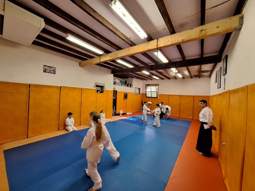 QOXT7231-1024x768 Aïkido – Passage de grade enfants