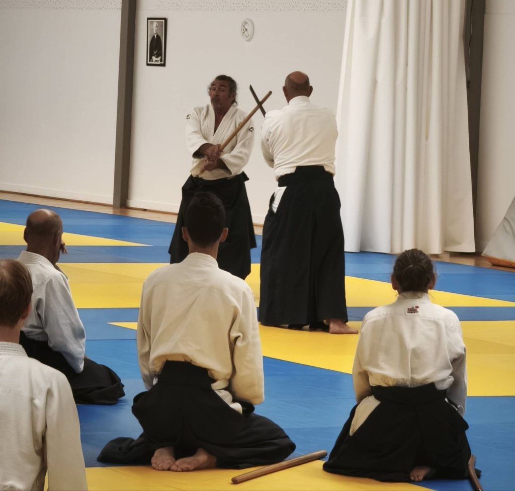 04-1024x976 AIKIDO – CARCASSONNE – 4 Octobre 2026