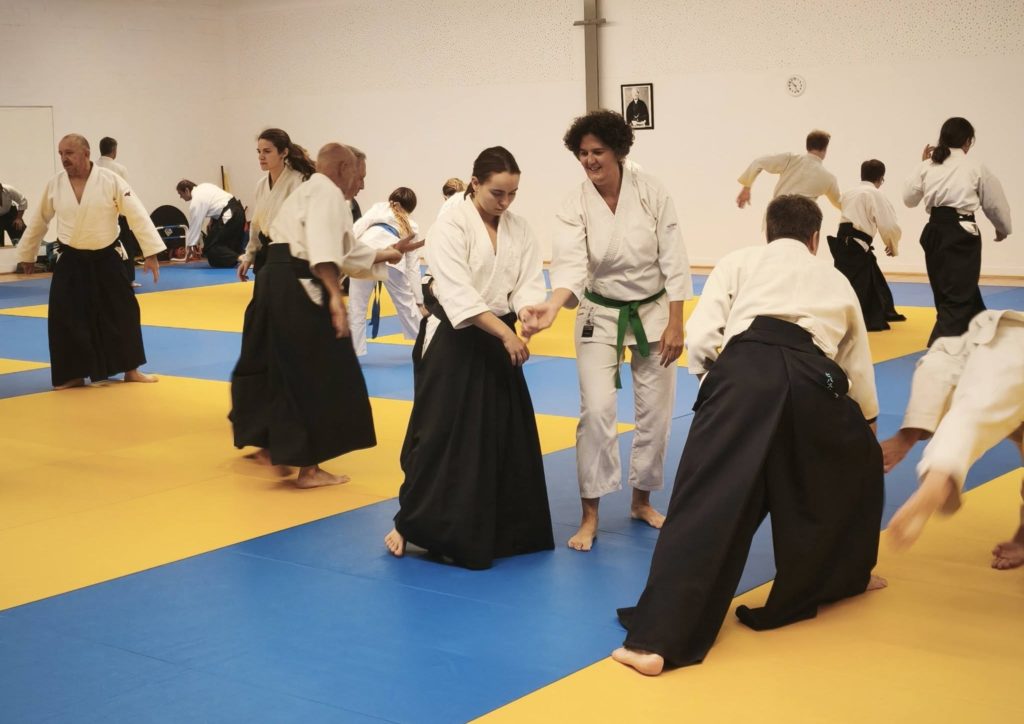 10-1024x724 AIKIDO – CARCASSONNE – 4 Octobre 2026