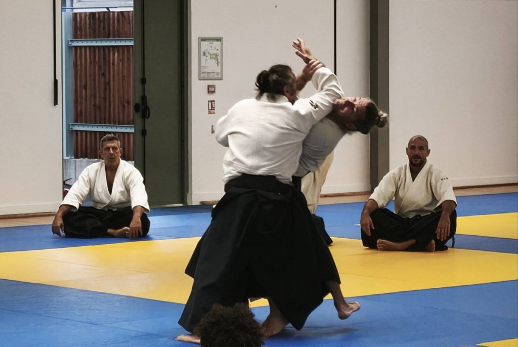 12-1024x686 AIKIDO – CARCASSONNE – 4 Octobre 2026