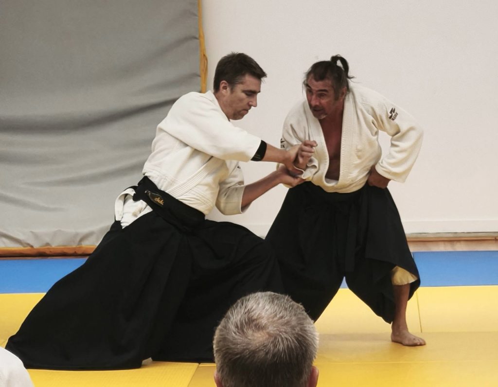13-1024x796 AIKIDO – CARCASSONNE – 4 Octobre 2026